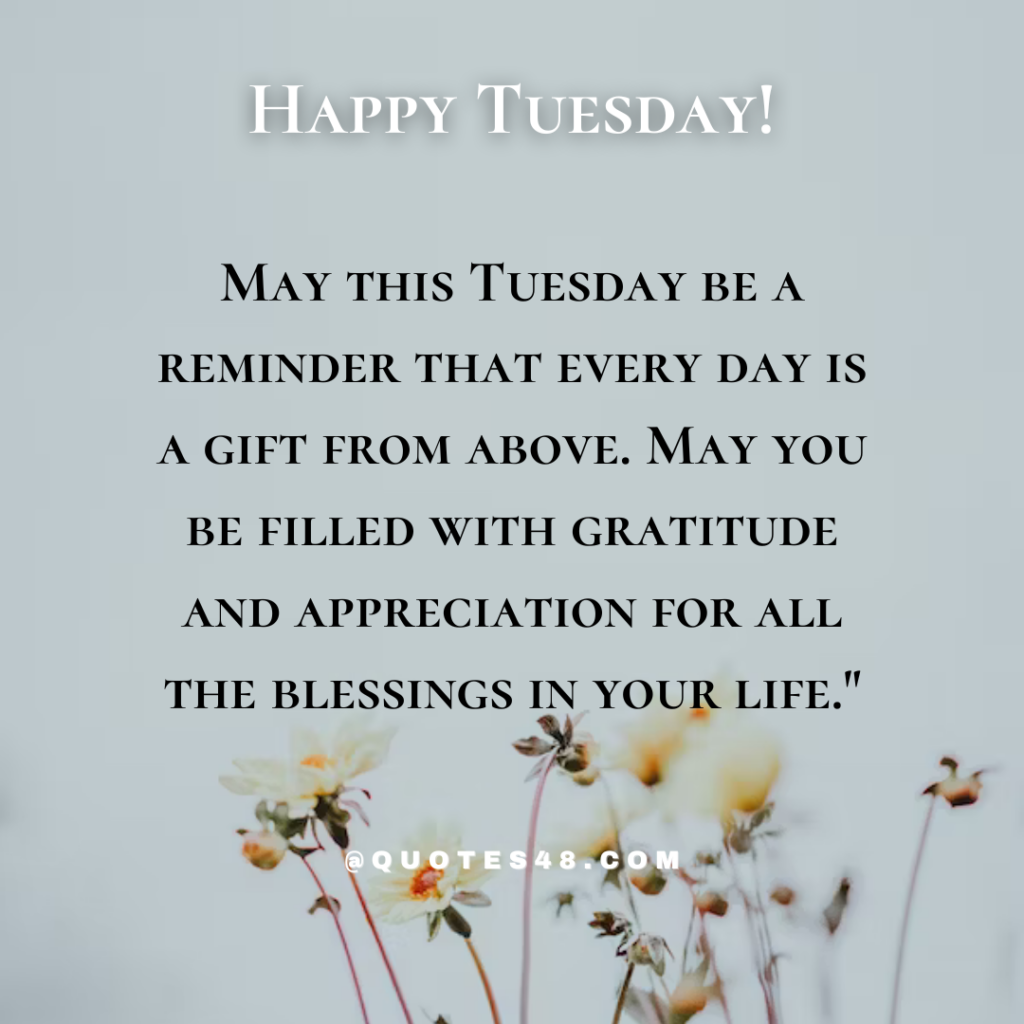 May this Tuesday be a reminder that every day is a gift from above. May you be filled with gratitude and appreciation for all the blessings in your life."