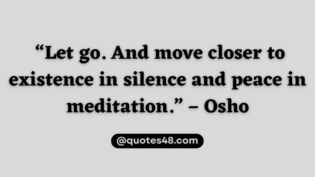 “Let go. And move closer to existence in silence and peace in meditation.” – Osho