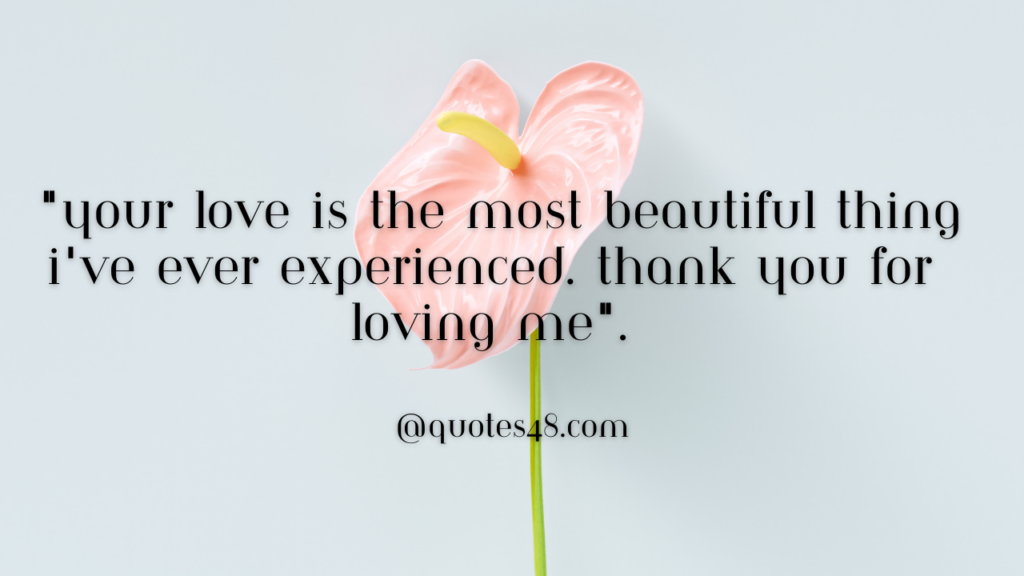 "Your love is the most beautiful thing I've ever experienced. Thank you for loving me".